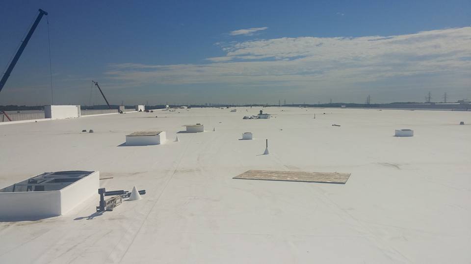 TPO Roof System